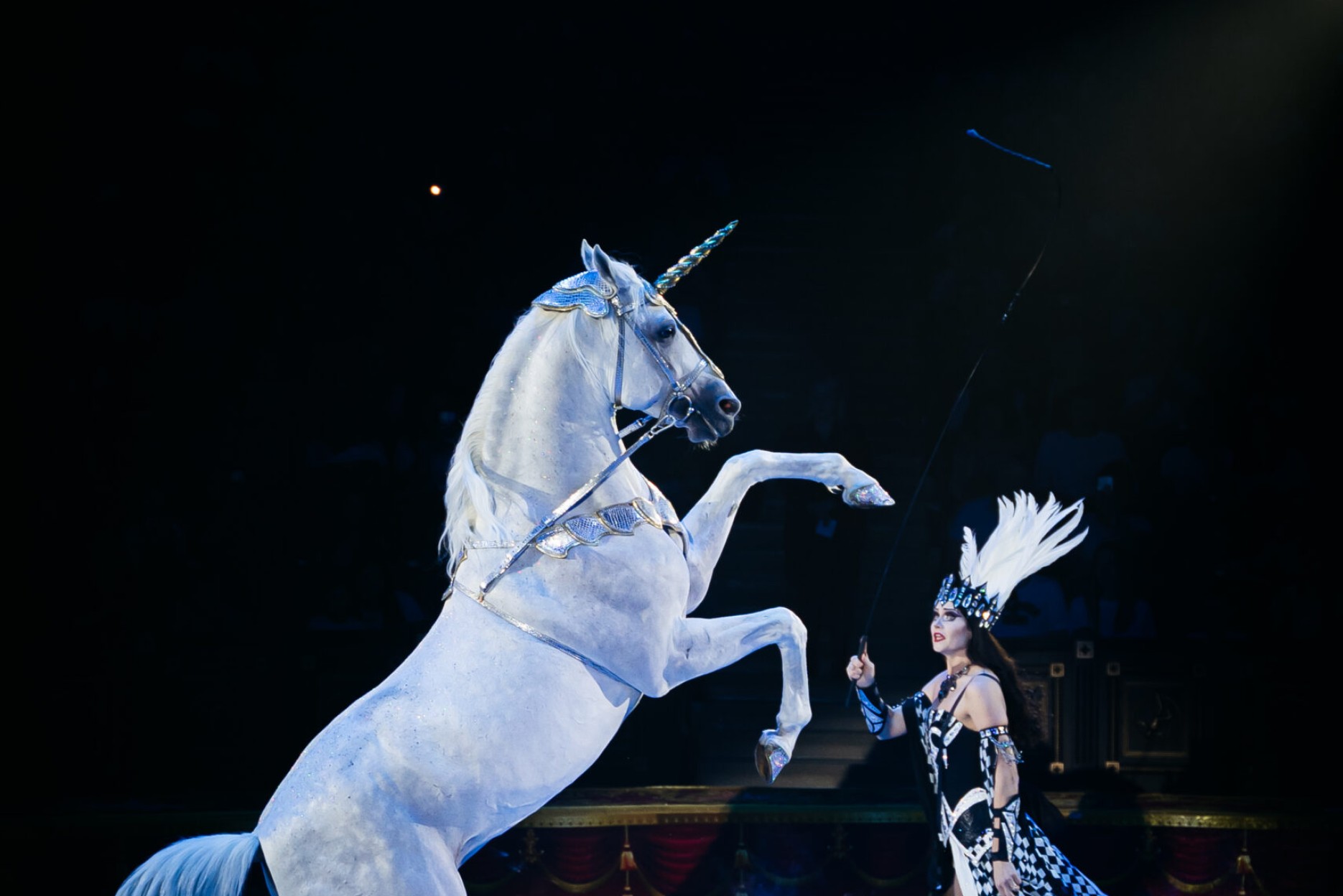 tonplay промокод